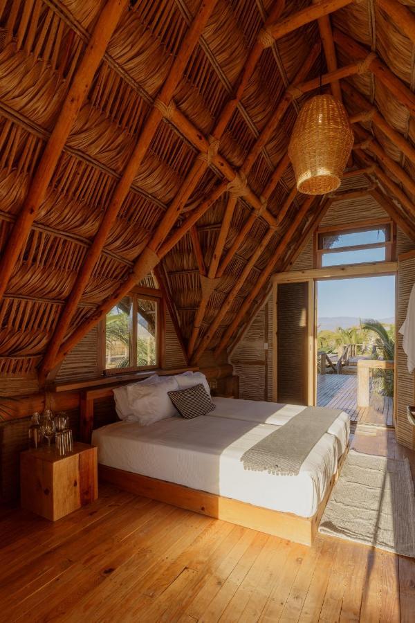Baja Nomads Hotel - Adults 15 Plus تودوس سانتوس الغرفة الصورة